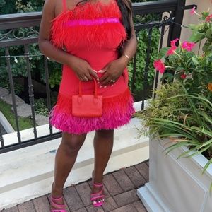 Staud Red & Red Feather Dress